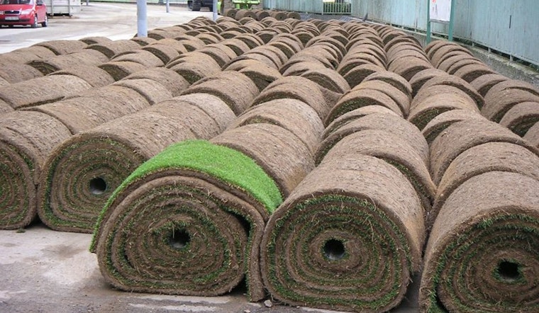 Phase 1 Sod Installation Underway as Pavement Update Disrupts Local Communities, Phase 2 & 3 Construction Activities Ramp Up