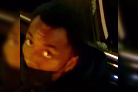 Philadelphia Police Seek Public's Help to Identify Suspect in Multiple Auto Thefts and Vandalism on Brown Street