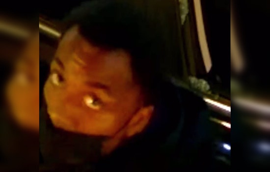 Philadelphia Police Seek Public's Help to Identify Suspect in Multiple Auto Thefts and Vandalism on Brown Street