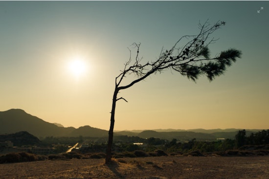 Phoenix Braces for Sweltering Week, Residents Face 100+ Degree Days, Minimal Night Relief
