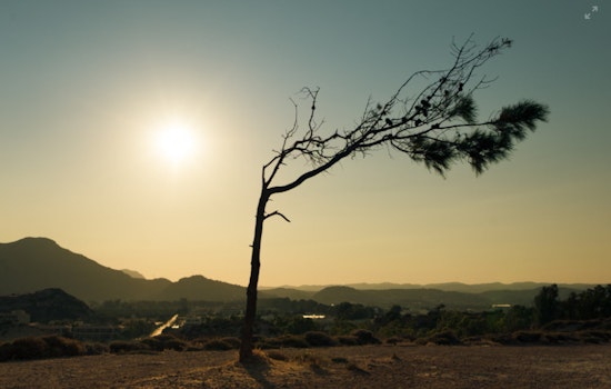 Phoenix Braces for Sweltering Week, Residents Face 100+ Degree Days, Minimal Night Relief
