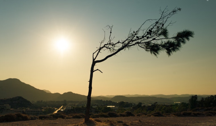 Phoenix Braces for Sweltering Week, Residents Face 100+ Degree Days, Minimal Night Relief
