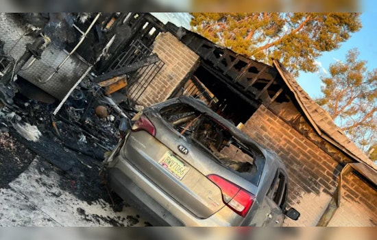 Phoenix Community in Mourning After Devastating Blaze Claims Pets, Sparks Investigation into Fireworks as Possible Cause