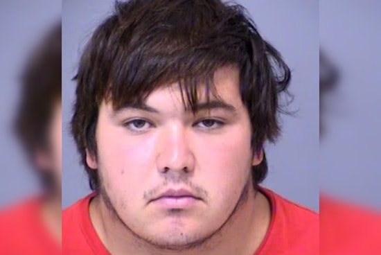 Phoenix Man Charged with Bestiality, Confesses to Disturbing Acts with Horse