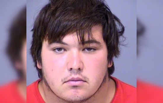 Phoenix Man Charged with Bestiality, Confesses to Disturbing Acts with Horse