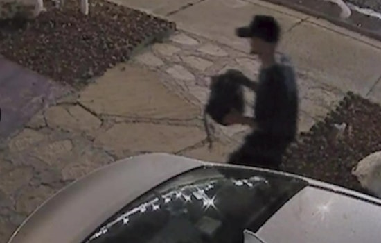 Phoenix Teacher's Memories Stolen Along with Camera and Art Supplies in Biltmore Area Theft