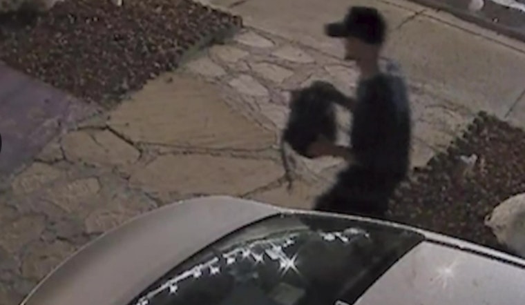 Phoenix Teacher's Memories Stolen Along with Camera and Art Supplies in Biltmore Area Theft