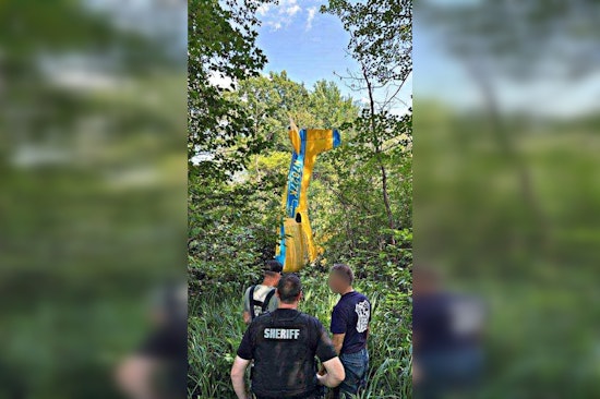Pilot and Aviation Student Survive with Minor Injuries After Plane Crash in Osceola County, Michigan