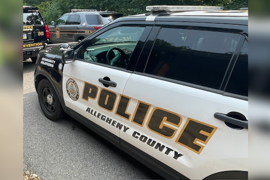 Pine Township Shocked as Two Men Found Dead in Swimming Pool, Police Investigate