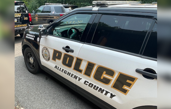 Pine Township Shocked as Two Men Found Dead in Swimming Pool, Police Investigate