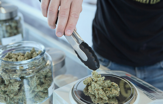 Pittsburgh City Councilmember Introduces Bill to Shield Medical Marijuana Cardholders from Workplace Discrimination