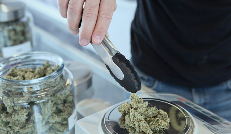 Pittsburgh City Councilmember Introduces Bill to Shield Medical Marijuana Cardholders from Workplace Discrimination