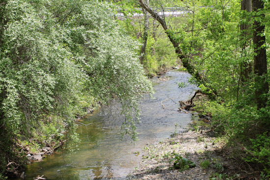 Pittsburgh Community Mourns as Authorities Investigate Unexplained Deaths at Montour Run Creek