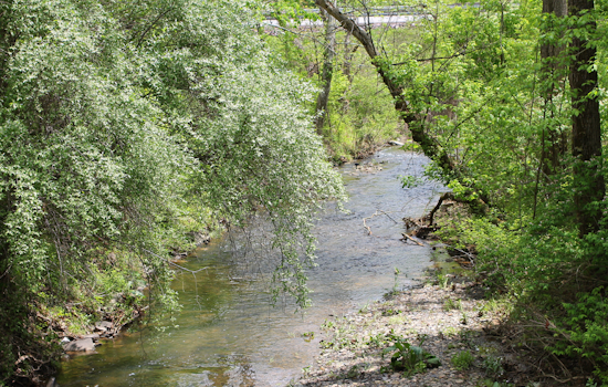 Pittsburgh Community Mourns as Authorities Investigate Unexplained Deaths at Montour Run Creek