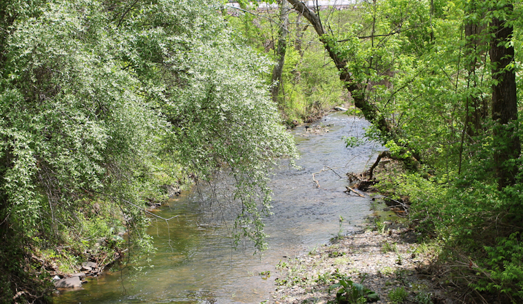 Pittsburgh Community Mourns as Authorities Investigate Unexplained Deaths at Montour Run Creek