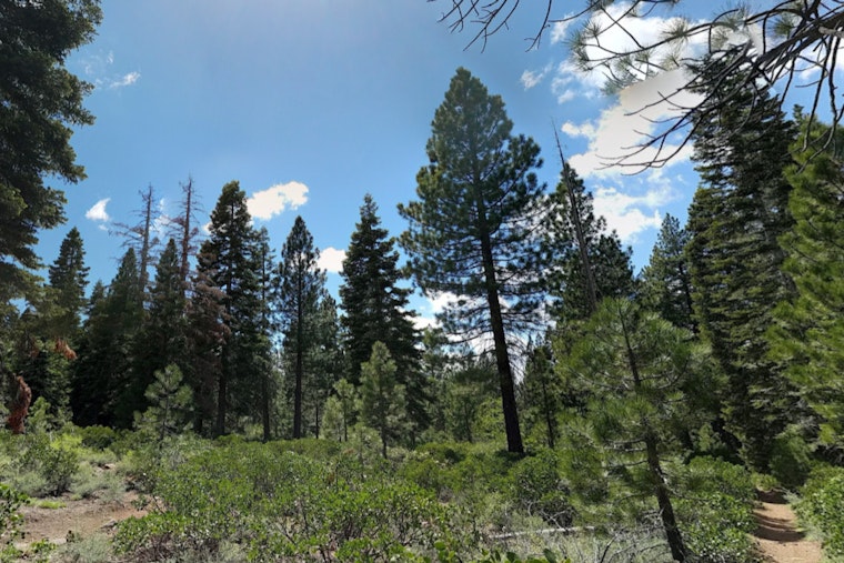 Placer County Launches Ambitious $2 Billion, 10-Year Plan to Bolster Wildfire Defense in Northern California