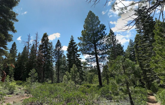 Placer County Launches Ambitious $2 Billion, 10-Year Plan to Bolster Wildfire Defense in Northern California