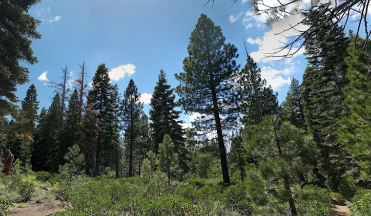 Placer County Launches Ambitious $2 Billion, 10-Year Plan to Bolster Wildfire Defense in Northern California