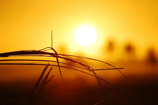 Portland and Vancouver Mobilize Cooling Centers as Temperatures Hit 100 Degrees