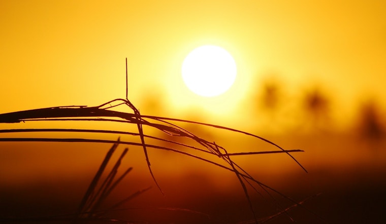 Portland and Vancouver Mobilize Cooling Centers as Temperatures Hit 100 Degrees