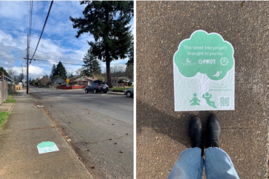 Portland Launches Innovative Trees in the Curb Zone Pilot to Boost Urban Tree Canopy