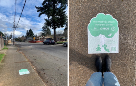 Portland Launches Innovative Trees in the Curb Zone Pilot to Boost Urban Tree Canopy