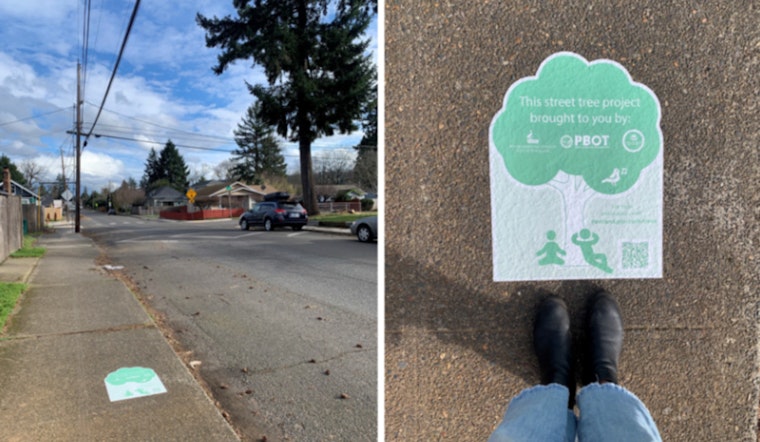 Portland Launches Innovative Trees in the Curb Zone Pilot to Boost Urban Tree Canopy