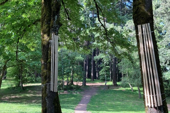 Portland's Pier Park Elevates Conservation Efforts Amidst Disc Golf Popularity