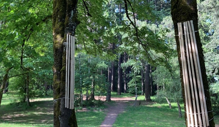 Portland's Pier Park Elevates Conservation Efforts Amidst Disc Golf Popularity