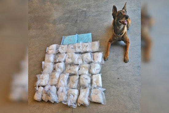 Prescott Valley K-9 Officer Kato Sniffs Out Massive Drug Haul, Two Phoenix Men Charged with Felonies