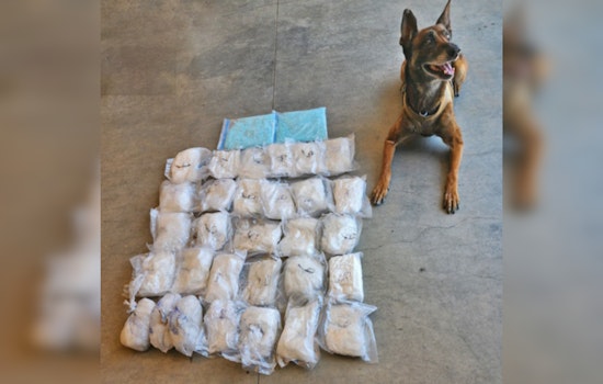 Prescott Valley K-9 Officer Kato Sniffs Out Massive Drug Haul, Two Phoenix Men Charged with Felonies