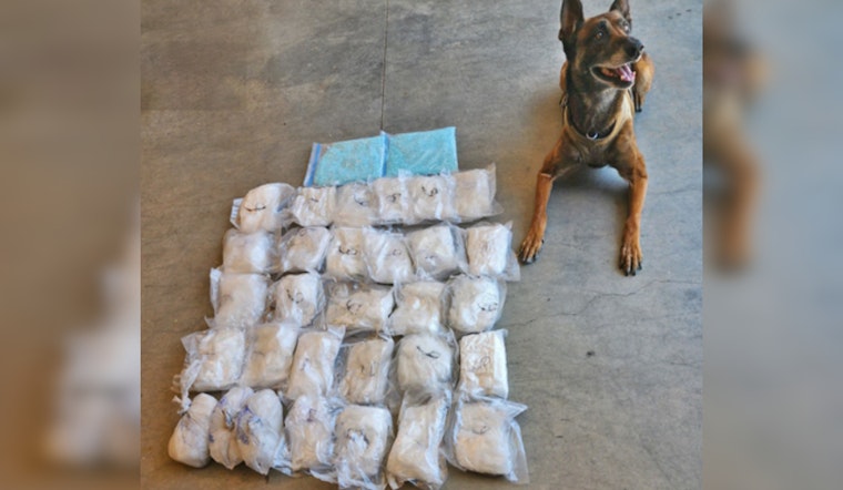 Prescott Valley K-9 Officer Kato Sniffs Out Massive Drug Haul, Two Phoenix Men Charged with Felonies
