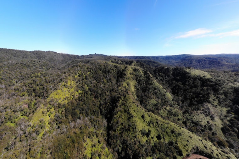 Progress in Containment as Koke‘e State Park Wildfire Reaches 70% Control, Koke‘e Road Reopens
