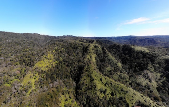 Progress in Containment as Koke‘e State Park Wildfire Reaches 70% Control, Koke‘e Road Reopens