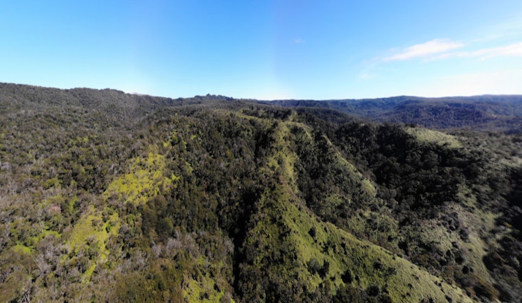 Progress in Containment as Koke‘e State Park Wildfire Reaches 70% Control, Koke‘e Road Reopens