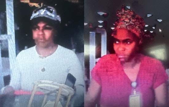 Public's Help Sought to Identify Theft Suspects Caught on Camera at Marshalls Store