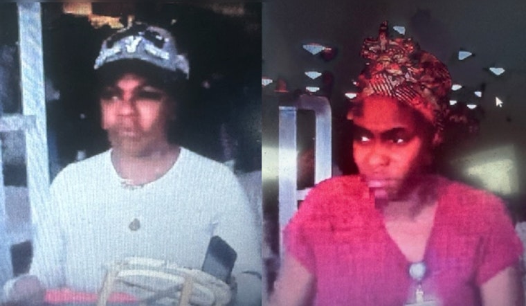 Public's Help Sought to Identify Theft Suspects Caught on Camera at Marshalls Store