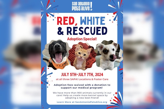 'Red, White, & Rescued' Event in San Antonio Offers Fee-Waived Pet Adoptions for Independence Day