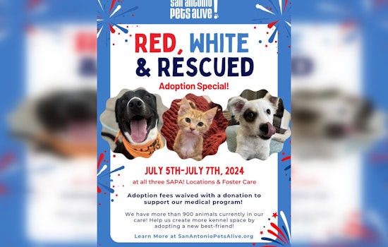 'Red, White, & Rescued' Event in San Antonio Offers Fee-Waived Pet Adoptions for Independence Day