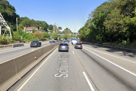 Rescue Pig Dorothy Leads Impromptu Chase on Schuylkill Expressway Prompting Community to Band Together