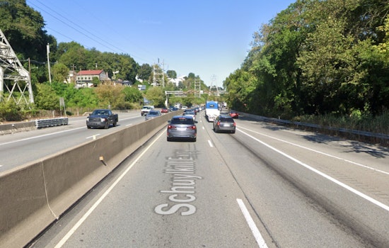 Rescue Pig Dorothy Leads Impromptu Chase on Schuylkill Expressway Prompting Community to Band Together