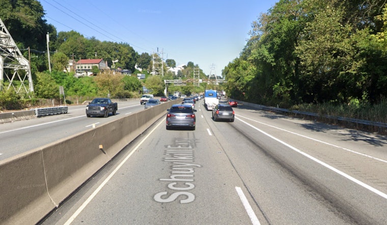 Rescue Pig Dorothy Leads Impromptu Chase on Schuylkill Expressway Prompting Community to Band Together