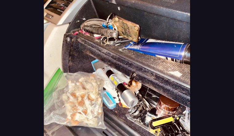 Rohnert Park Traffic Stop Unearths Controlled Substances, Resident Cited for Possession