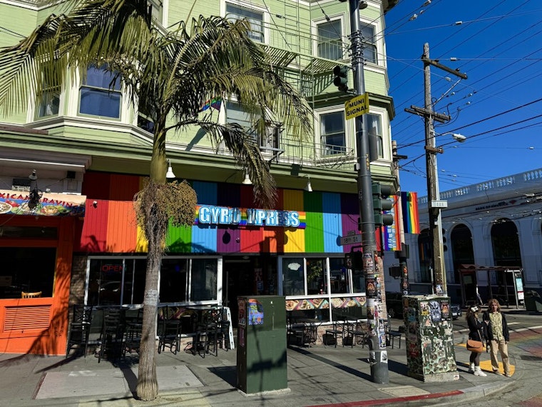 Six Castro Street Palm Trees Marked For Removal & Replacement After Public Works Hearing