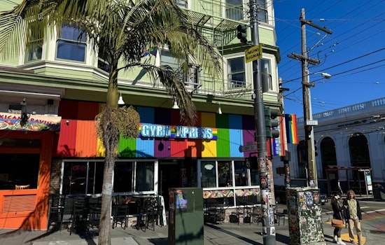 Six Castro Street Palm Trees Marked For Removal & Replacement After Public Works Hearing