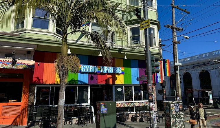 Six Castro Street Palm Trees Marked For Removal & Replacement After Public Works Hearing