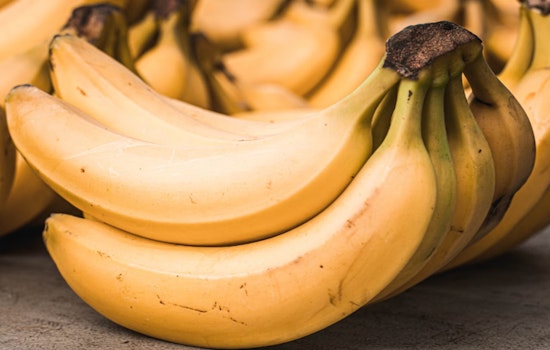 Sacramento Banana Festival Returns to Land Park with Global Cultural Celebrations and Charitable Mission