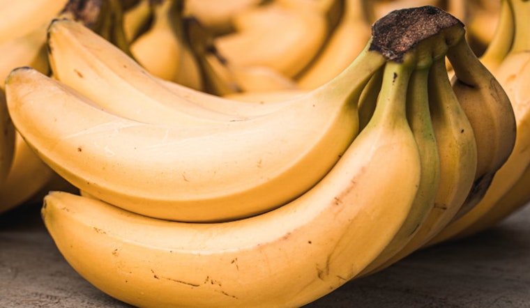 Sacramento Banana Festival Returns to Land Park with Global Cultural Celebrations and Charitable Mission