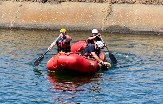Sacramento Firefighters Conduct Successful Water Rescue of Deer from Local Canal