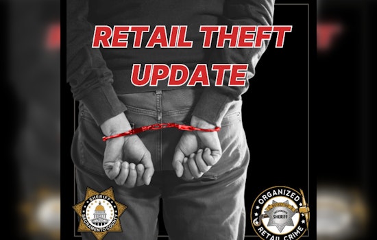 Sacramento Sheriff's Office and Target Team Up to Nab 50 in Organized Retail Crime Sting